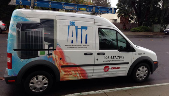 Vehicle Graphics Pic 3